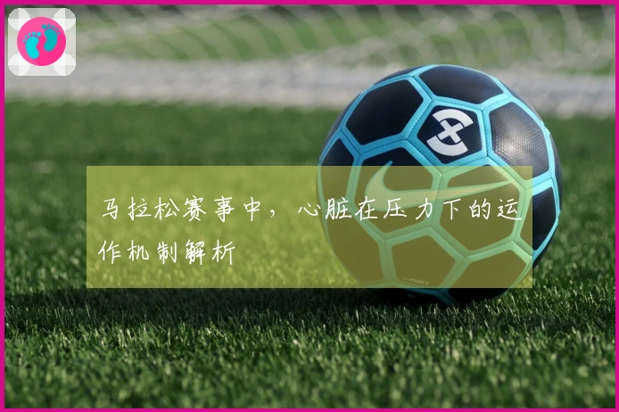 马拉松赛事中，心脏在压力下的运作机制解析