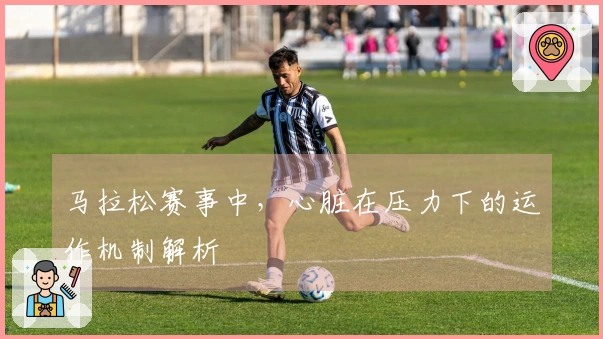 马拉松赛事中，心脏在压力下的运作机制解析